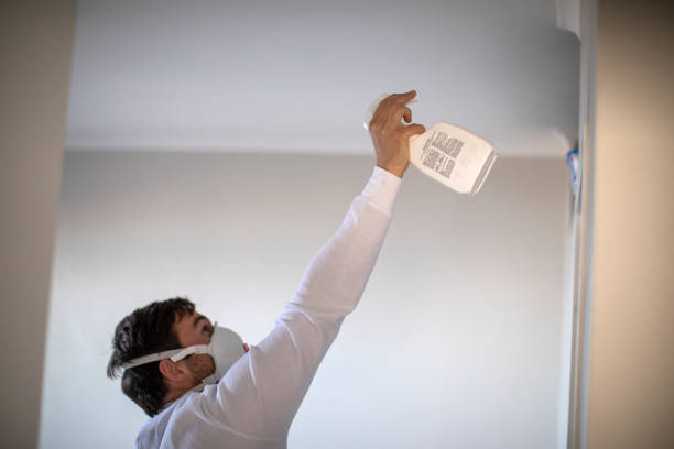 Best Mold Remediation  in Dermott, AR
