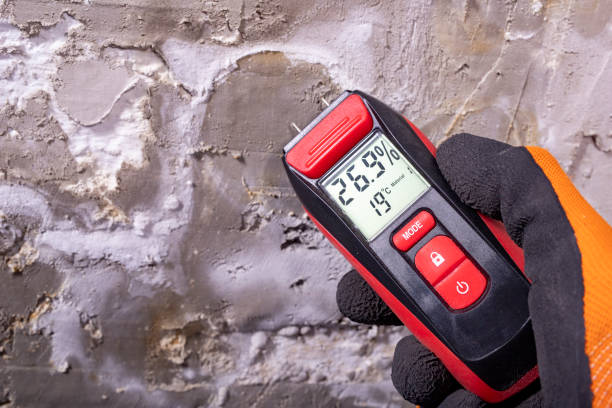 Best Mold Removal Process  in Dermott, AR