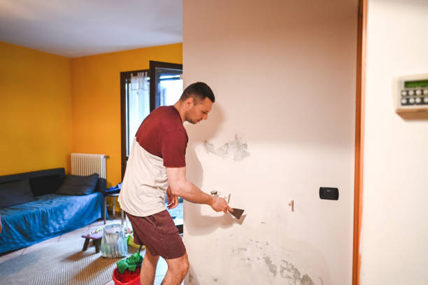 Best Office Mold Removal Services  in Dermott, AR
